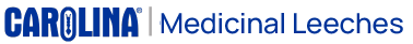 Carolina Leeches